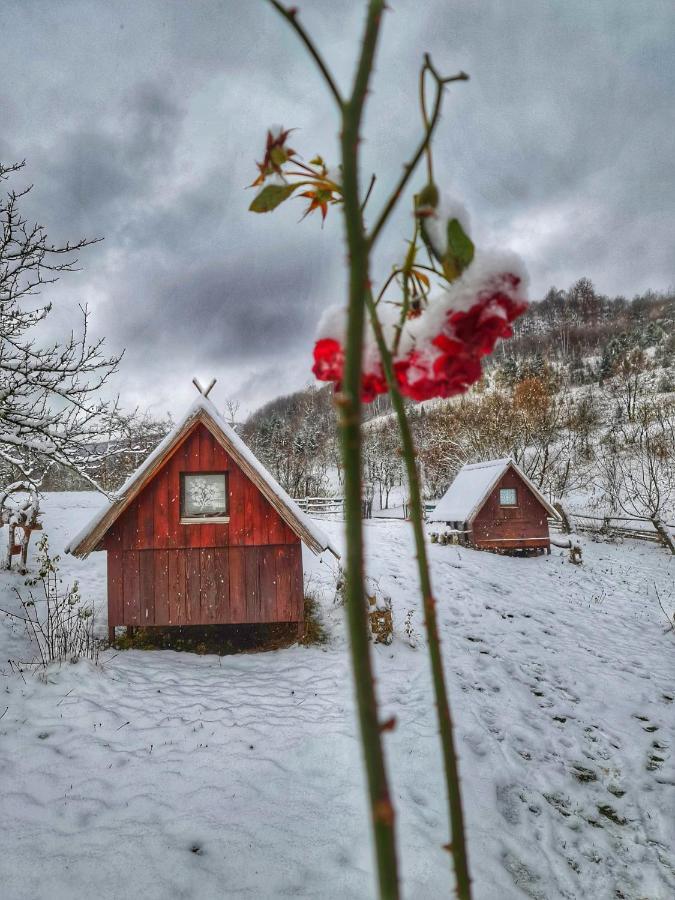 Log Cabin Uvac Nova Varoš 外观 照片