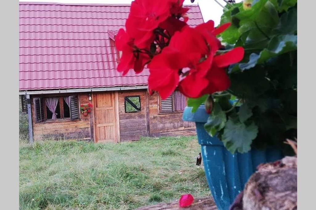 Log Cabin Uvac Nova Varoš 外观 照片