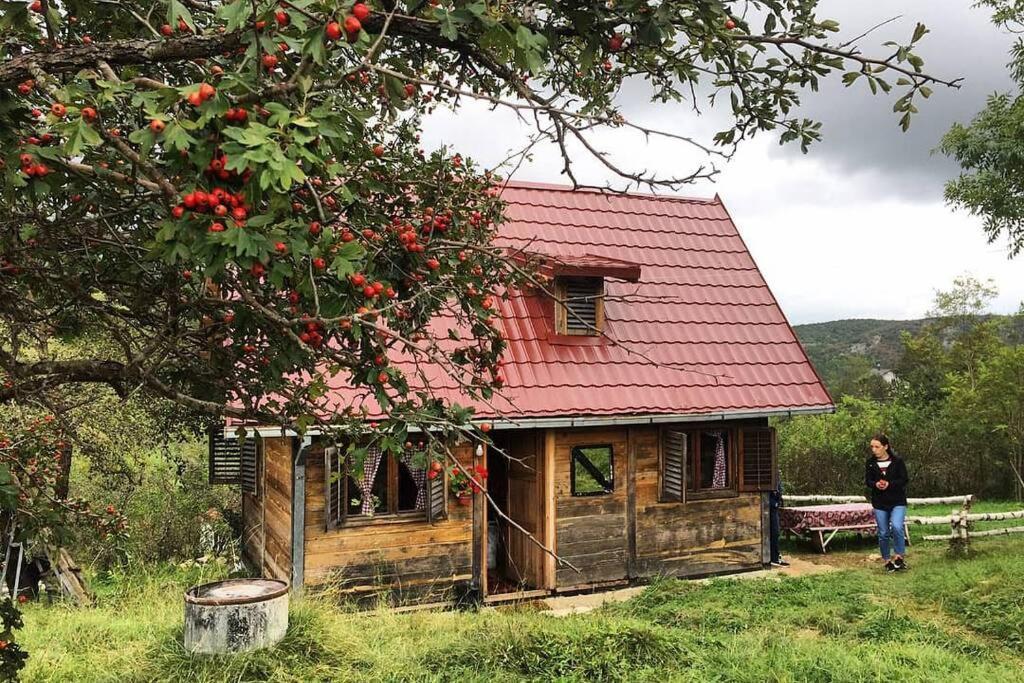 Log Cabin Uvac Nova Varoš 外观 照片